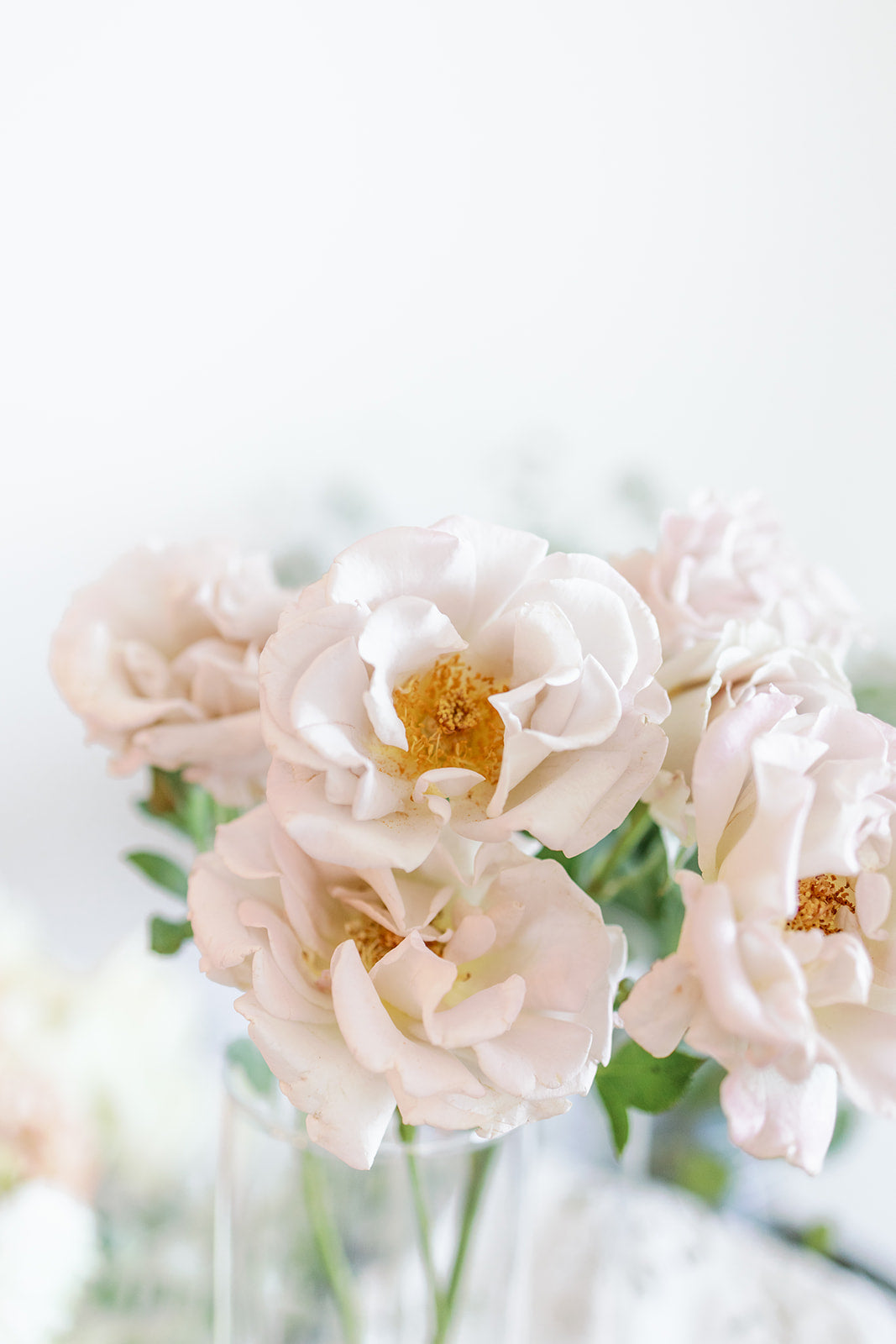 Lotus Garden Florals – At-Home Garden Design Service